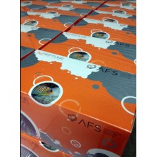 Neptune Systems-AFS Automatic Feeding System 